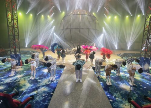 Witness the spectacular performance at the Bohol Show