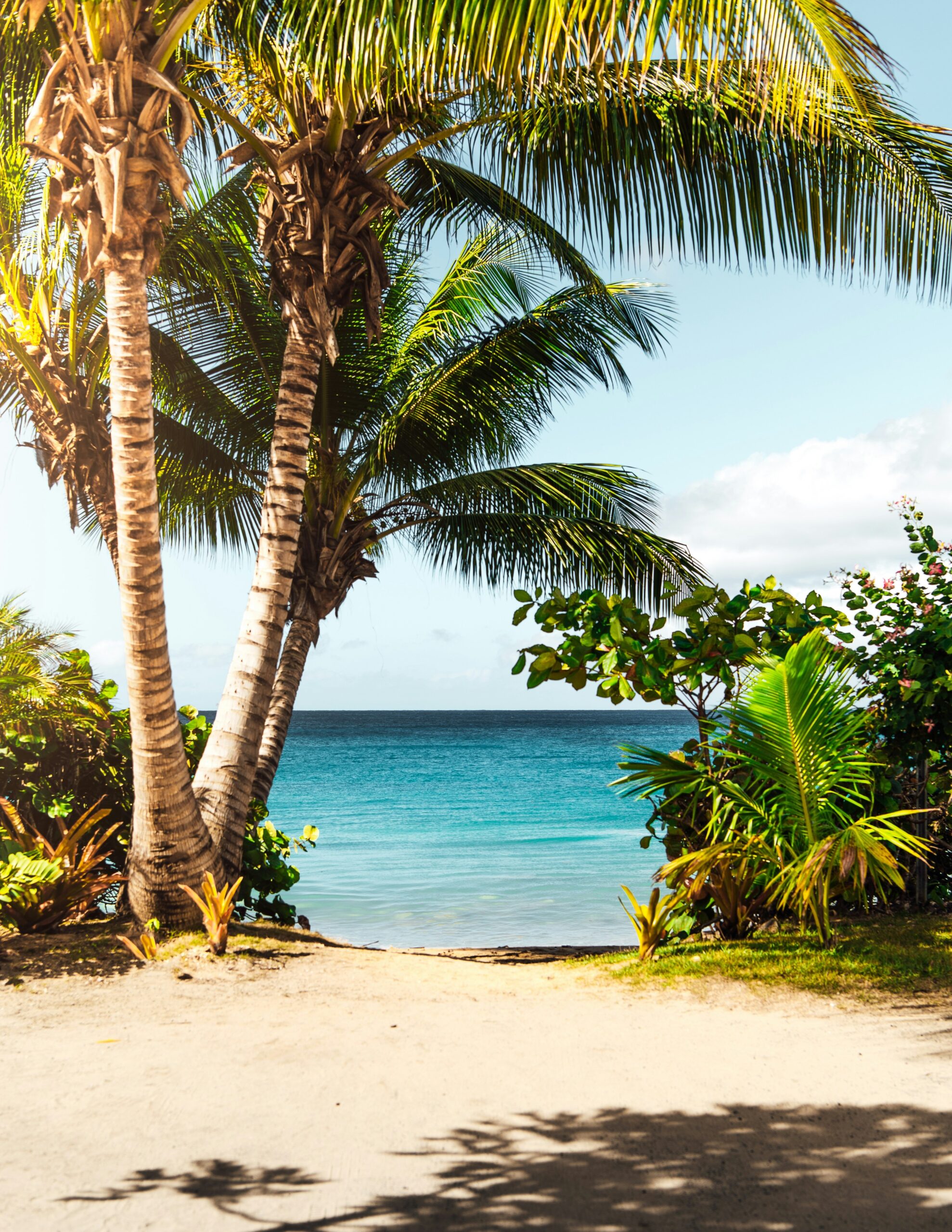 Hello World Featured Image
